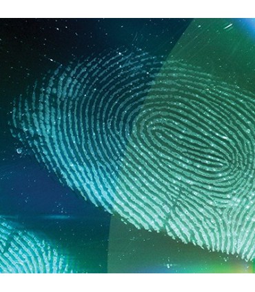 Revelador huellas por cyanocrilato lÃ­quido 450 gr (HAZ)