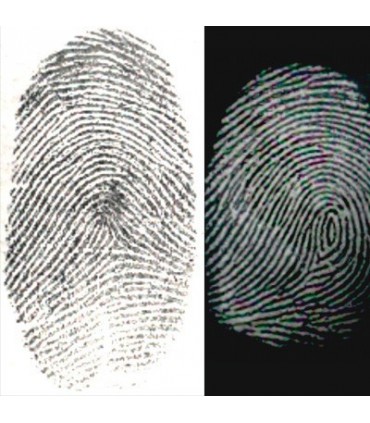 Silver grey / Black Fingerprint HI-FI Powder - 59mL (2oz)