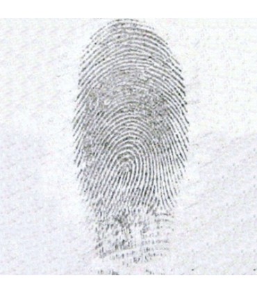 Revelador huellas por nitrato de plata (HAZ) 8 Oz