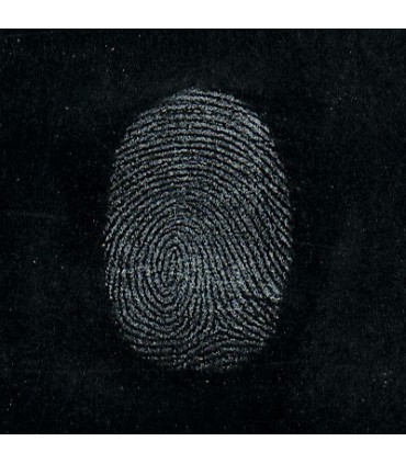 Revelador de huellas mediante polvo HI-FI gris metal - 59mL (2oz)